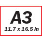 A3